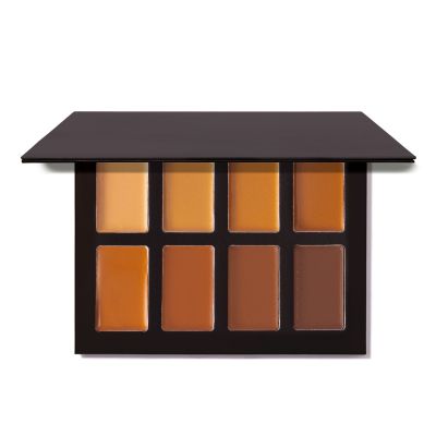 Perfect Blend Complexion Palette in Tan/Dark